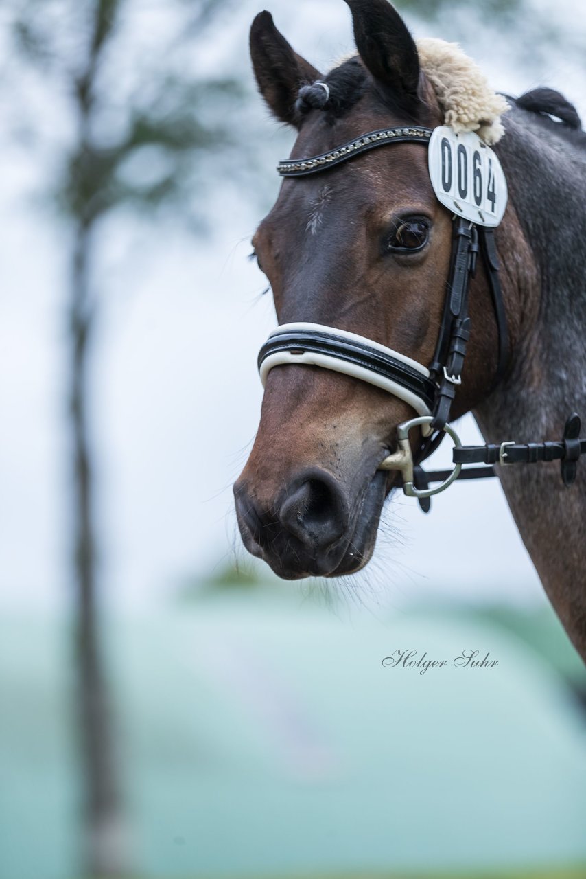 Bild 510 - Pony Akademie Turnier